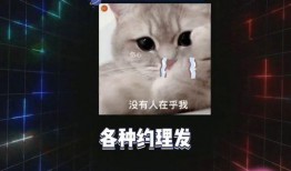 娱乐圈吃瓜超级课代表,超级课代表带你吃遍瓜界风云