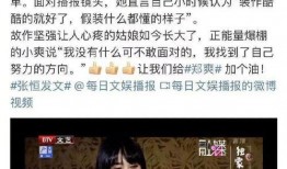 郑爽又被爆料了吗视频,真相究竟如何？”