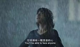 全民目击2电影在线观看,全民见证真相
