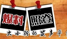 野三关新闻爆料,最新爆料揭示当地热点事件